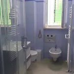 Vello Blu *